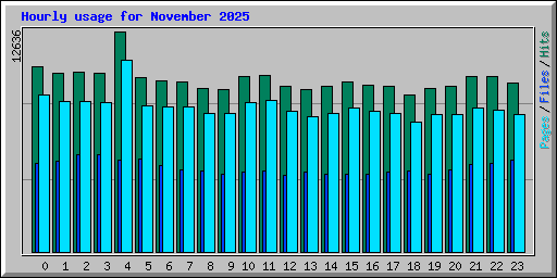 Hourly usage for November 2025
