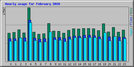 Hourly usage for February 2026
