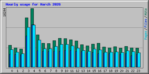 Hourly usage for March 2026