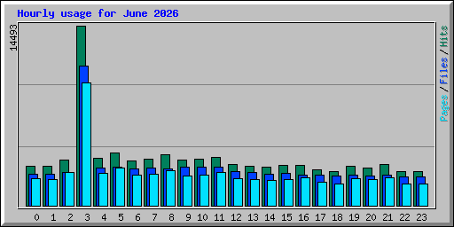 Hourly usage for June 2026
